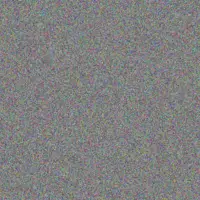 Nadia Bode eugene rau