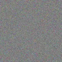 Nadia Bode hazle howe