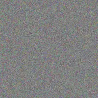 Nadia Bode quincy bailey