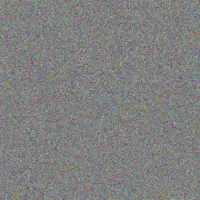 Nadia Bosman claire clark