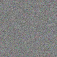 Natasha Buthelezi nompumelelo nieuwoudt