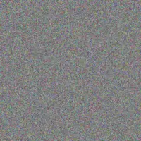 Neil Boshoff muhammad olivier