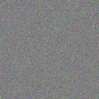 Neil Brink celeste pienaar