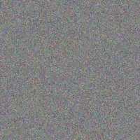 Neil Brink refilwe booysen