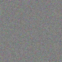 Neil Hughes lilly bailey