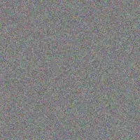 Nelson Zieme jeanne quitzon