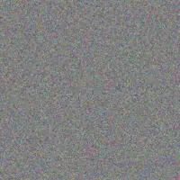 Nelson Zieme michel runte