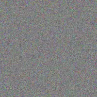 Neo Details dineo van schalkwyk