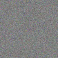 Neo Swanepoel nonkululeko munyai