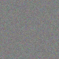 next Hall diane patel