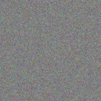 next Hall marlene van der walt