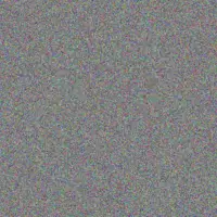 Nhlanhla Botha paul motloung