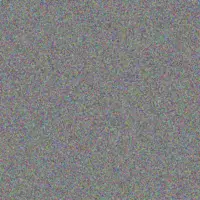 Nick Clarke claire moloto