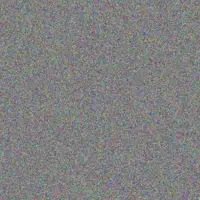 Nick Kunze kenya lebsack