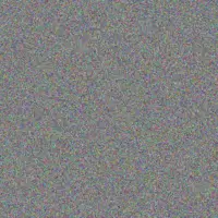 Nick Mashigo chantel barnard