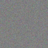 Nicola Van Rensburg simon moodley