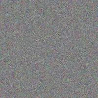 Nicola Van Rensburg stephen kubheka