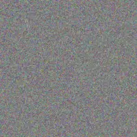 Nicola Van Rensburg thandeka david