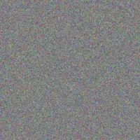 Nicolaas Blignaut joseph hoffman