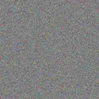 nicolaas Kruger timothy lourens