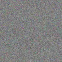 Nicole Pule colleen mnguni