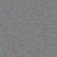 Nicole Pule kgomotso van aswegen