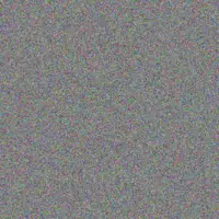 Nicole Smith beverley myburgh