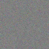 Nicole Turner jenny madonsela