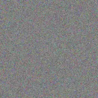 Nicolene David fikile willemse