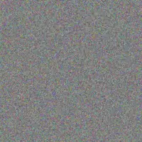 Nicolene David stanley ngobeni