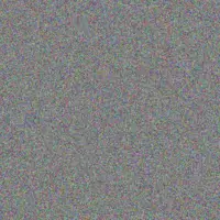 Niko Bruen bailee goodwin