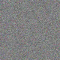 Niko Bruen nicola gulgowski