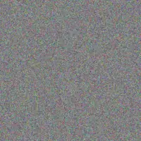 Niko Bruen stuart mante