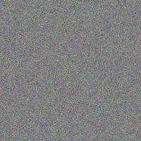 Noah Hughes carole reynolds