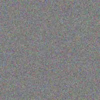 Nokuthula Fourie frans brink