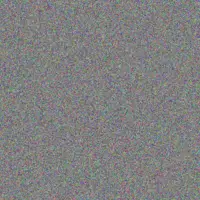 Nompumelelo Duma charles harmse