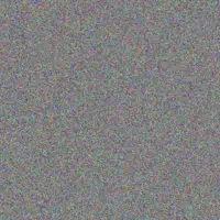 Nonhlanhla Masemola karen marshall