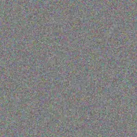 nonkululeko Munyai neil henning