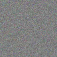 Ntokozo Walker allan koekemoer