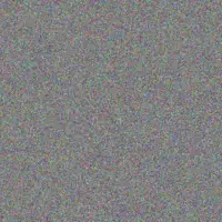 Ntokozo Walker nomsa jansen