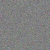 Ntokozo Walker vuyokazi swanepoel