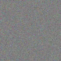 Omari Von connie bayer