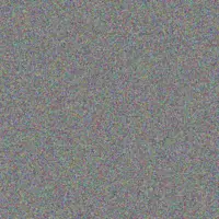 Ottis O'Kon timothy bednar