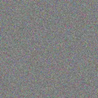 Patience Rautenbach carmen esterhuizen