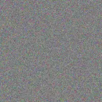 Patience Rautenbach marthinus mouton