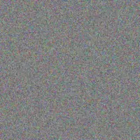 Patrick Bailey carel uys