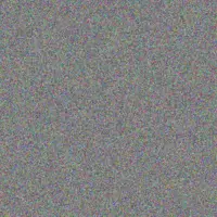 Paul Bailey summer ross