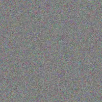 Phillip Meyer chantelle coetzee