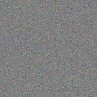 Phillip Meyer thandi robertson