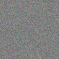 Phillip Meyer thulani mulder